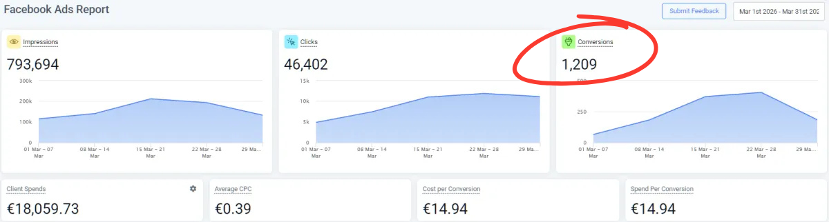 Facebook Ads report: 793,694 impressions, 46,402 clicks, 1,209 conversions
